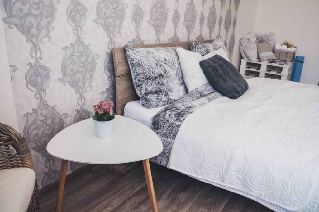 Stylovy Apartman V Centru Nachoda Eksteriør billede