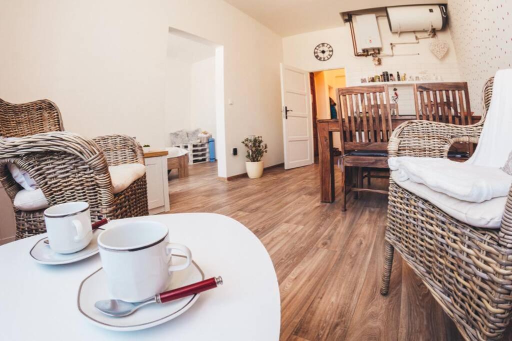 Stylovy Apartman V Centru Nachoda Eksteriør billede