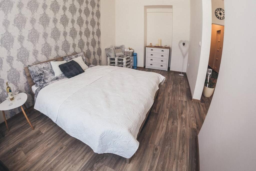 Stylovy Apartman V Centru Nachoda Eksteriør billede